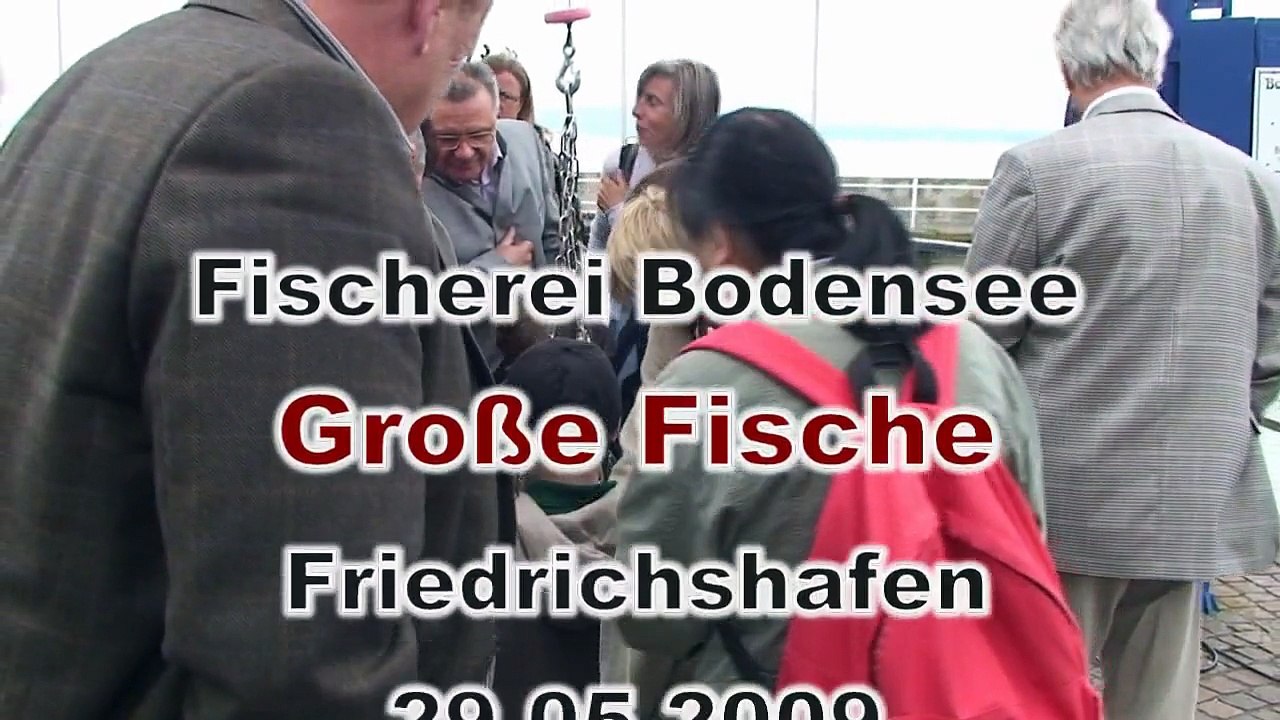 20090529 Bodenseefischerei Friedrichshafen Lake...