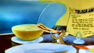 Tom and Jerry Cartoon   Tom become a Hourse