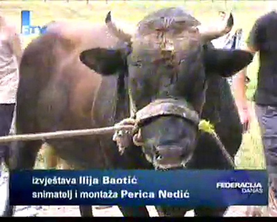 Korida u Vrbovcu (FTV)