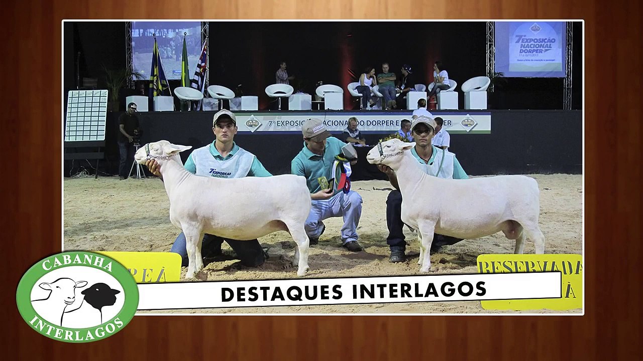 lote-b-CORRIGIDO
