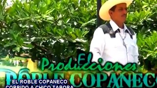 EL ROBLE COPANECO CORRIDO CHICO TABORA
