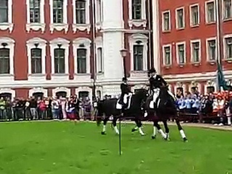 Four dressage horse Quadrille
