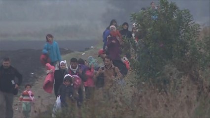 استمرار تدفق اللاجئين إلى الحدود الصربية المجرية