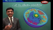 AP & TS State Board Syllabus | Class 9th Biology | Cell its Structure and Functions  Live Video