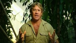 Australian Wildlife Hospital TV Commercial