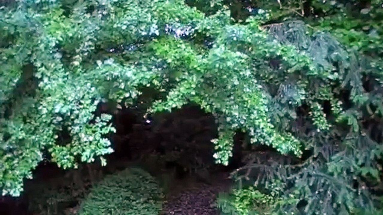 The making of a Wallenstein freehand pipe