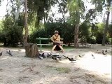 Oma voert duiven