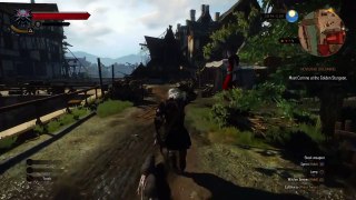The Witcher 3: Wild Hunt - WTF moments 2 (R.I.P. Witcher 3)