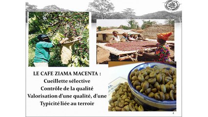 Journée d'Études IRAM 2015 - L'Indication Géographique Protégée du Café Ziama en Guinée - Intervenant : Sidiki Camara