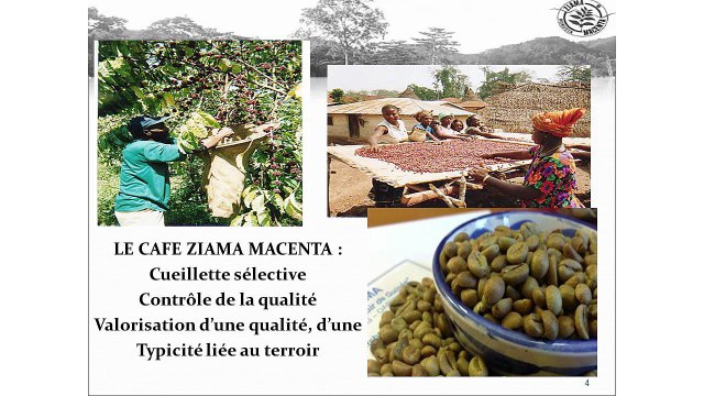 Journée d'Études IRAM 2015 - L'Indication Géographique Protégée du Café Ziama en Guinée - Intervenant : Sidiki Camara