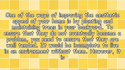 Why You Need Tree Service Winston-Salem NC Contractors In Your Home