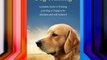 Dog Training: Complete Guide to Training Your Dog or Puppy To Be Obedient and Well Behaved