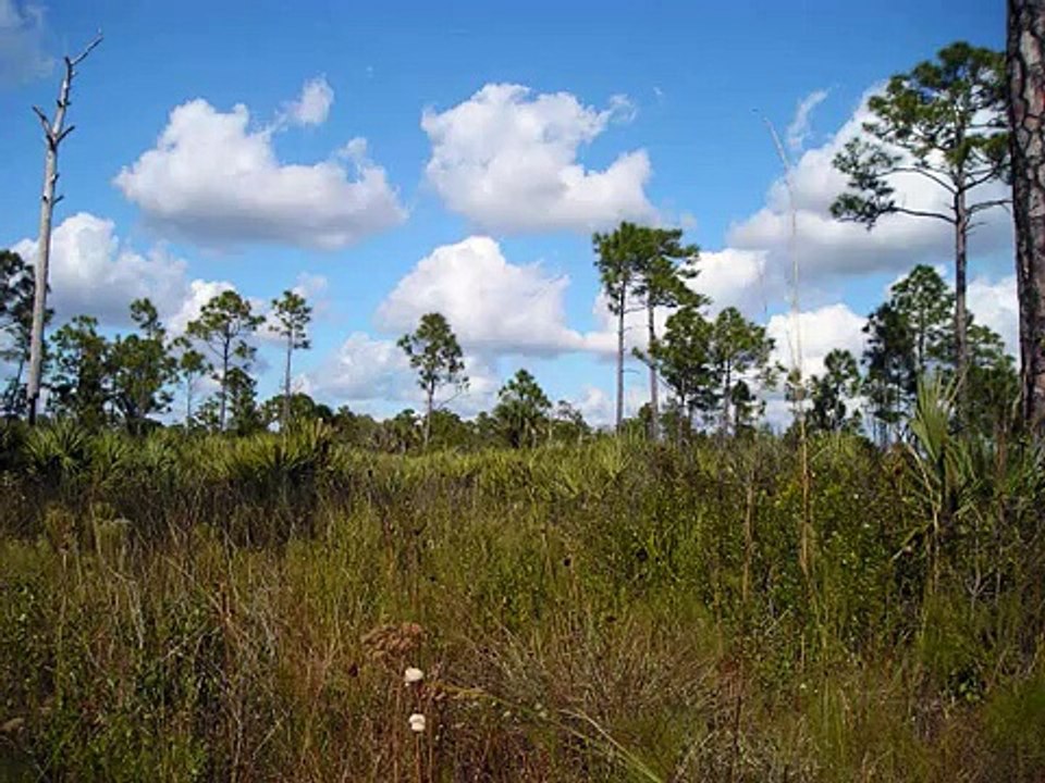 Padre Zlatko Sudac - El Hombre de los Dias de Hoy / En Español
