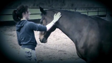 I have nothing else to offer, but this.