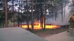 How firefighters are protecting homes in the Black Forest Fire