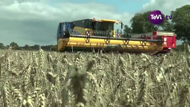 Pourquoi récolter les menues pailles ? [TéVi] 15_09_11