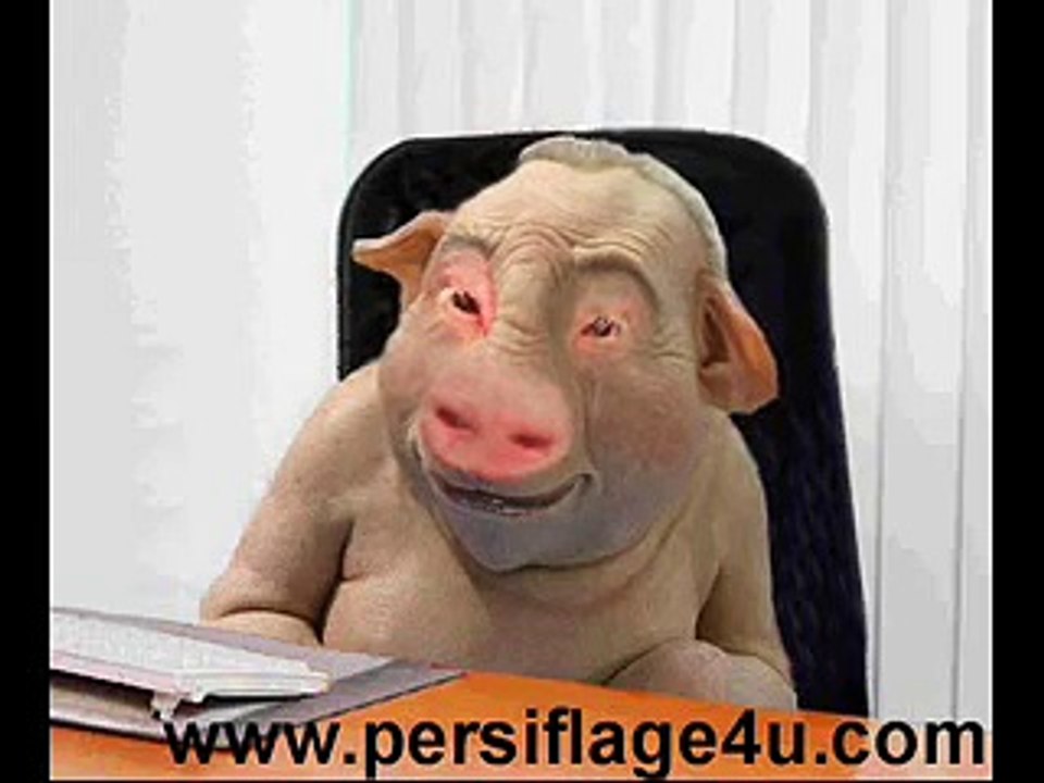 Schweinegrippe
