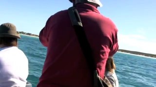 Southern Right whale swim and whale sounds 27th aug 11