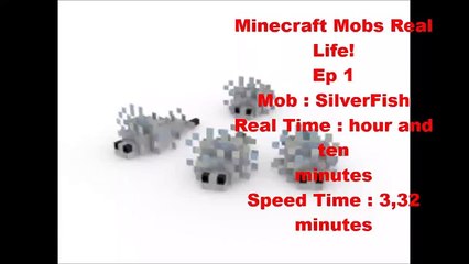 Minecraft Mobs In Real life!