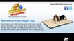 Stairs For Dog, Dog Stair Steps, Dog Stairs For Bed -- Aloha Happy Dog