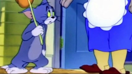 tom and jerry cartoon The robot cat