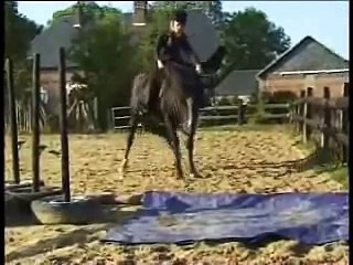Faire traverser une bâche à un cheval .