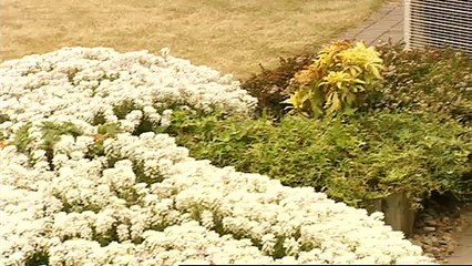 Pompe a Chaleur Alterma