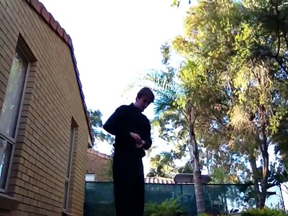 Trained wild magpie to land on my shoulder