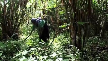 Lecciones Para Una Guerra/ Juan Manuel Sepúlveda/ Mexico-Guatemala