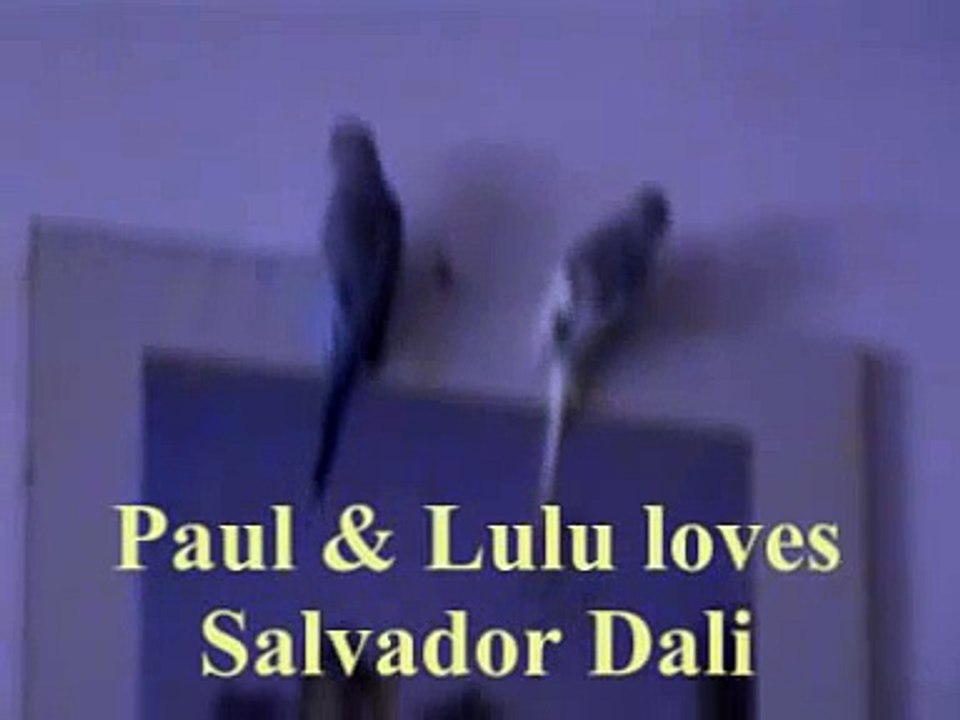 BUDGIES - PAUL & LULU LOVE´S DALI