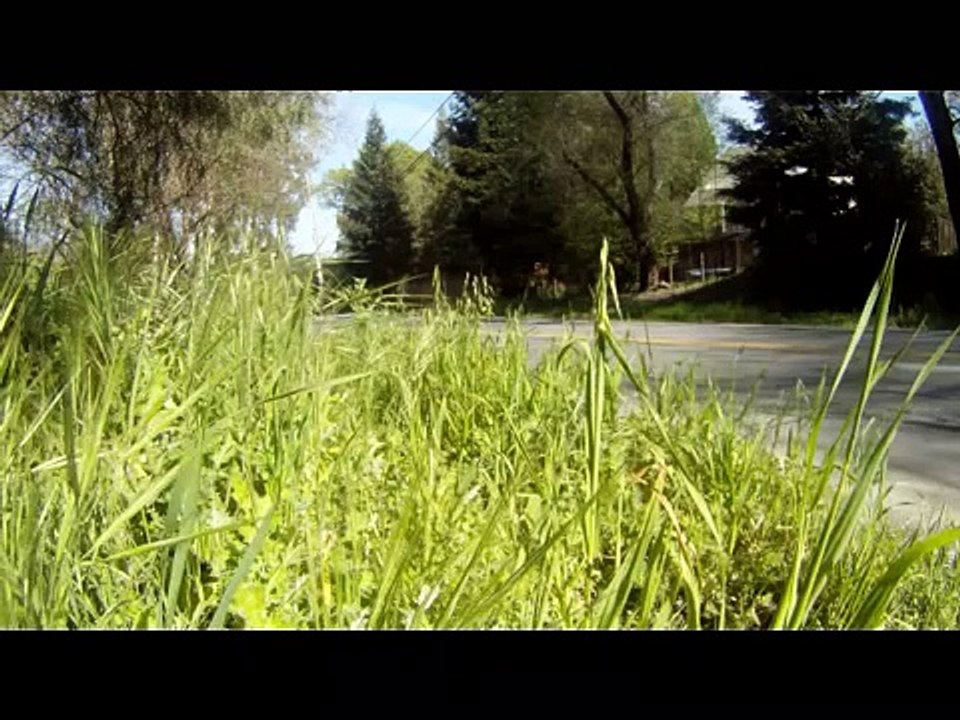 LS1 Camaro Compilation