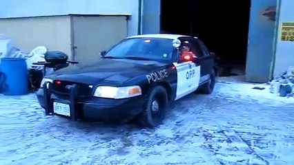 long live david rock siempre vive david rock