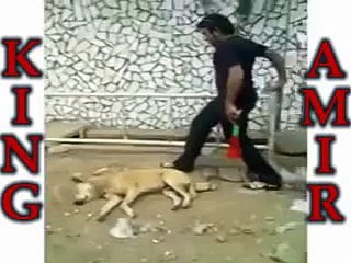 hahaha funny, nari panos karak