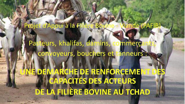 Journée d'Etudes IRAM 2015 - Projet d'Appui à la Filière Bovine au Tchad - Intervenant : Abder Benderdouche