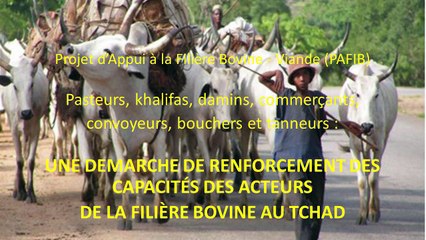 Journée d'Etudes IRAM 2015 - Projet d'Appui à la Filière Bovine au Tchad - Intervenant : Abder Benderdouche