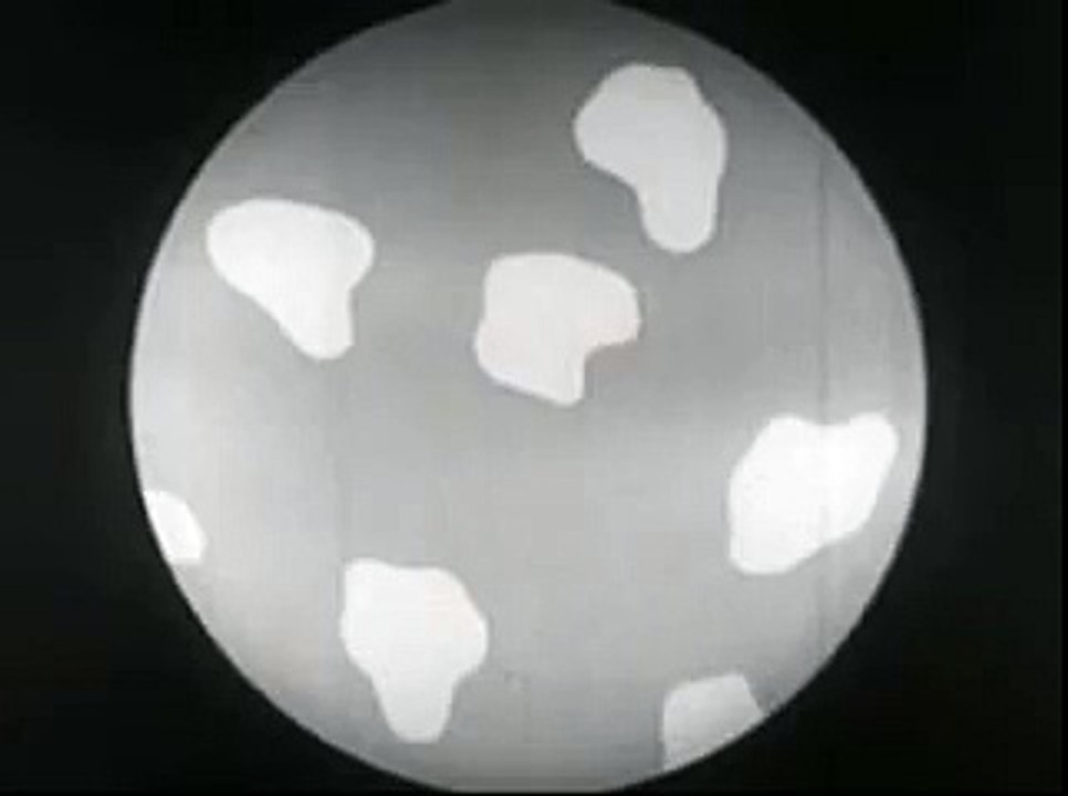 What is a vaccine 1955