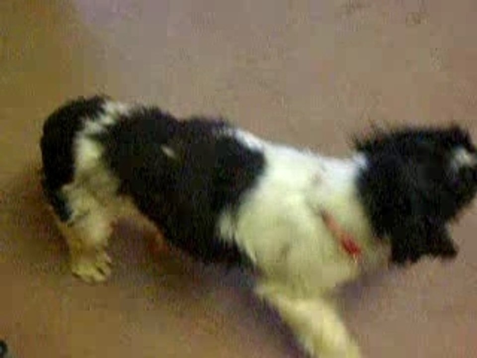 les poilus à l'accueil du refuge de Beauregard