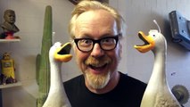 Mythbusters Adam Savage Finds The Duck Army