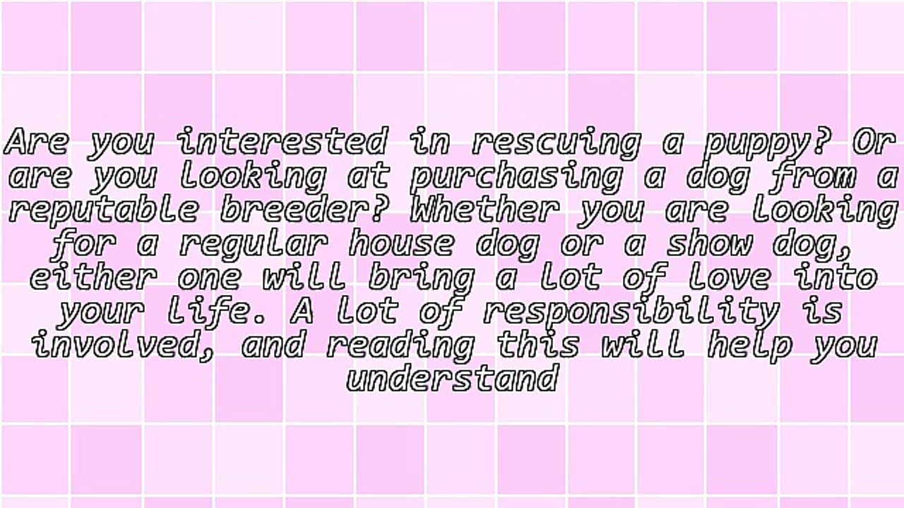 Want A Dog? Read This First!