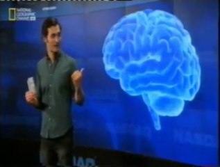 Cortex prefrontal: Precios relativos