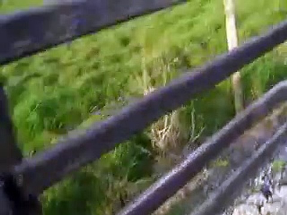 Tinker Talk: Episode 1