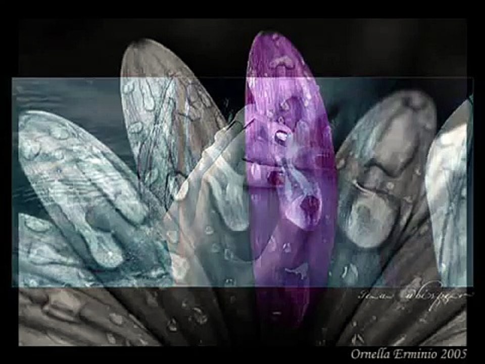 Deasonika - Non dimentico più