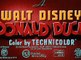 Disneys Donald Duck & Chip N Dale   Chip an' Dale 1947 [Full Episode]