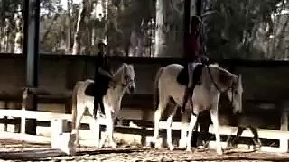 Horse Riding Compilation