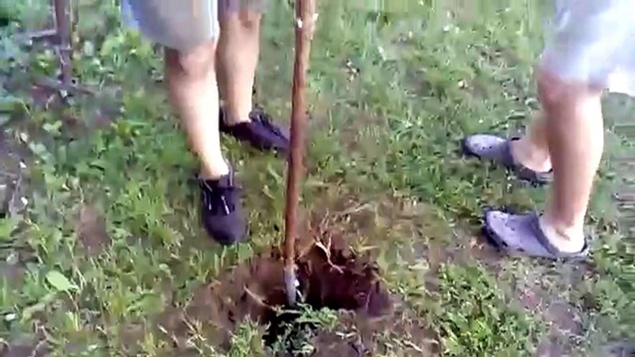 Kézi kútfúrás I.