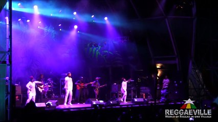 Protoje - Hail Rastafari @ Rototom Sunsplash 2015