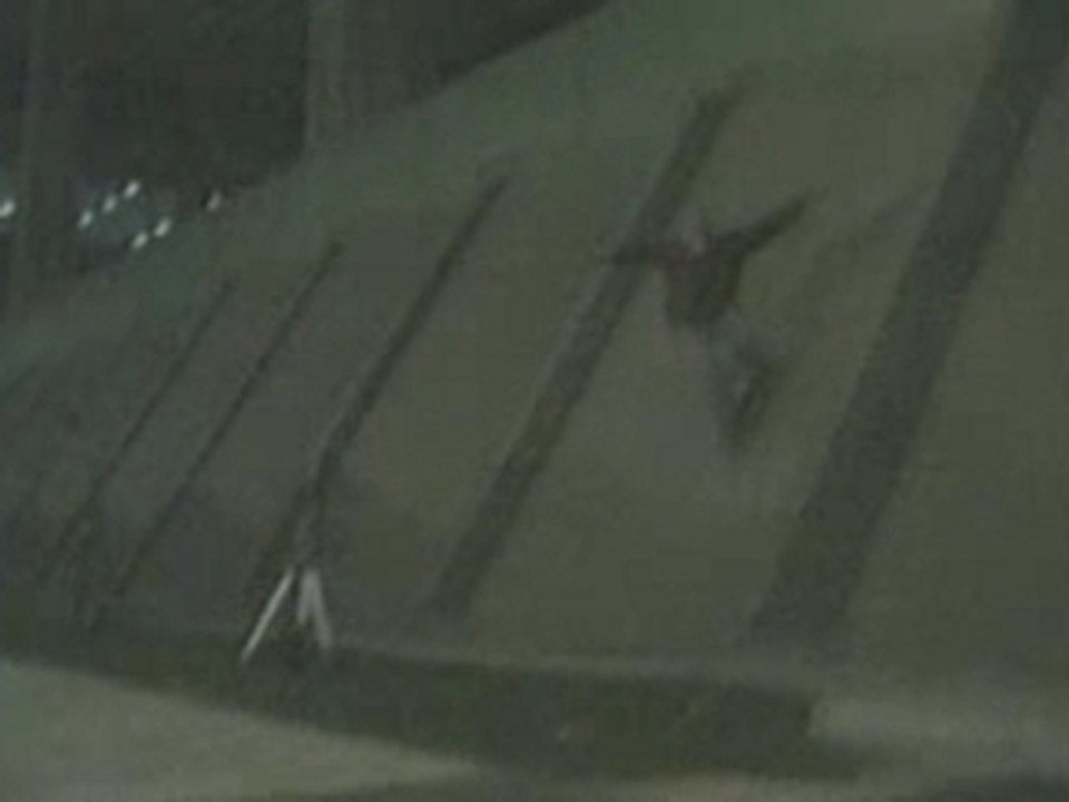 BamMargera