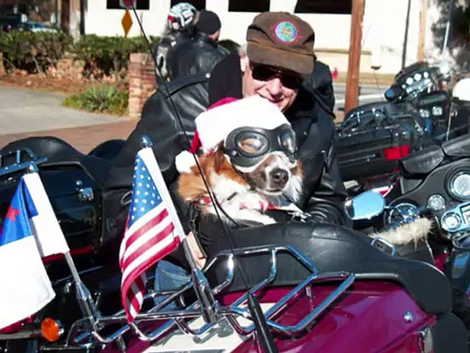 Chewy Biker Dog ("High on the Hog" courtesy of MeanStreet Riders)