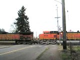 BNSF Stampede Pass Auburn, WA Grain Train