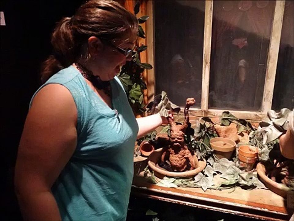 Exposition Harry Potter - Paris